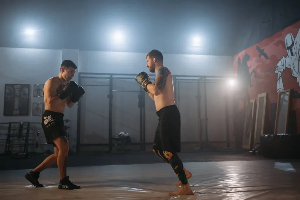 Rozwój MMA w Polsce – Jak KSW kształtuje przyszłość sportów walki