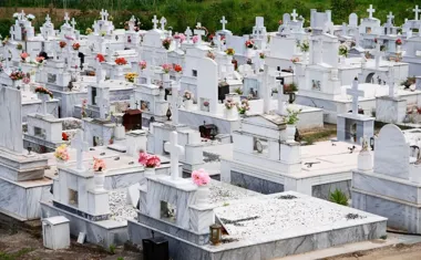 Cmentarz Komunalny w Radomiu  historia, opłaty i praktyczne informacje