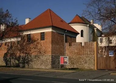 Protest przy Ministerstwie Zdrowia – powiat radomski alarmuje o kryzysie szpitali