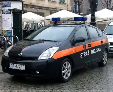 Sekundy w rozgrzanym aucie - Straż Miejska w Radomiu ostrzega przed tragedią