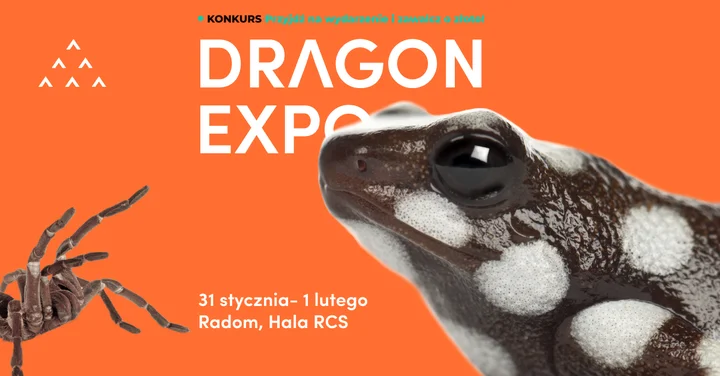 Grafika promocyjna wydarzenia Dragon Expo Radom — terrarystyczno-botaniczne targi, 31 stycznia–1 lutego 2026