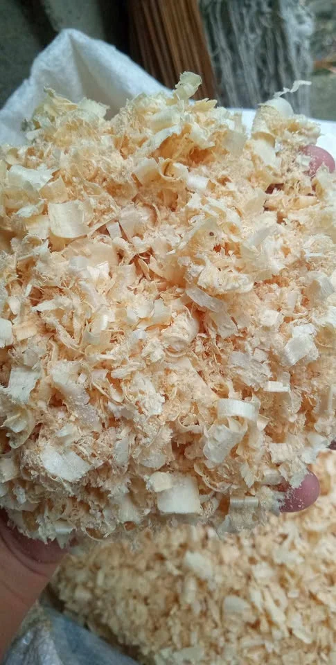 Grafika promocyjna wydarzenia Random Products — transmisja na żywo 19 grudnia