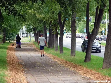 Cztery ulice, nowe trasy i prawie 15 mln zł dla Radomia
