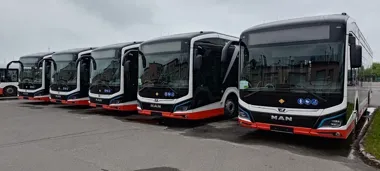 Radom ma już 45 elektrycznych autobusów. MPK przyspiesza wymianę taboru