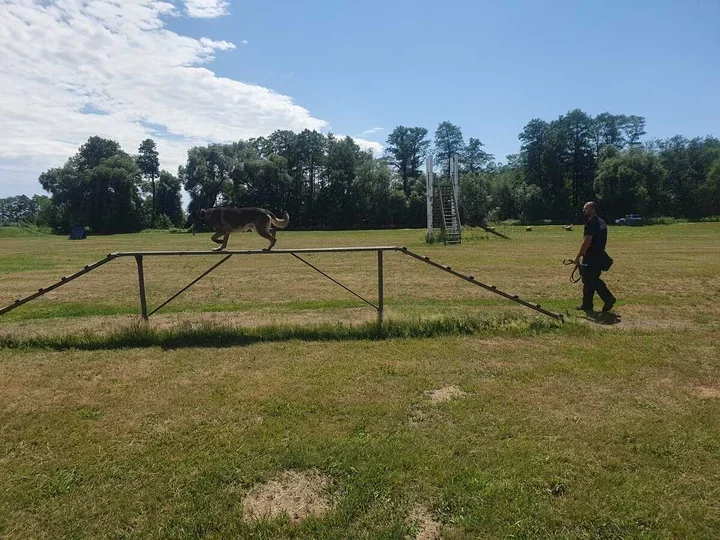 Radomski policjant i pies Skan wygrali wojewódzkie eliminacje