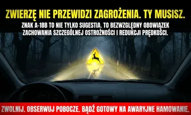 Jedna sarna może zmienić wszystko - policja ostrzega przed drogą przez las