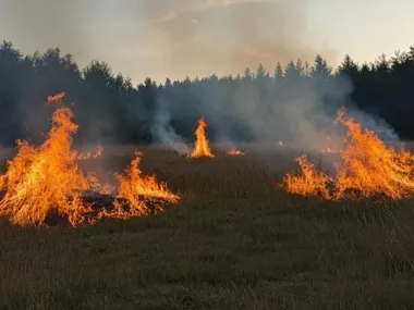 W kilka minut pola w ogniu - wypalanie traw kończy się stratami i karą